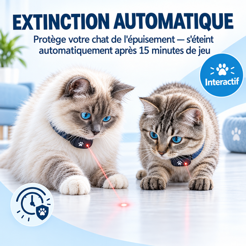 Extinction Automatique - Format carré